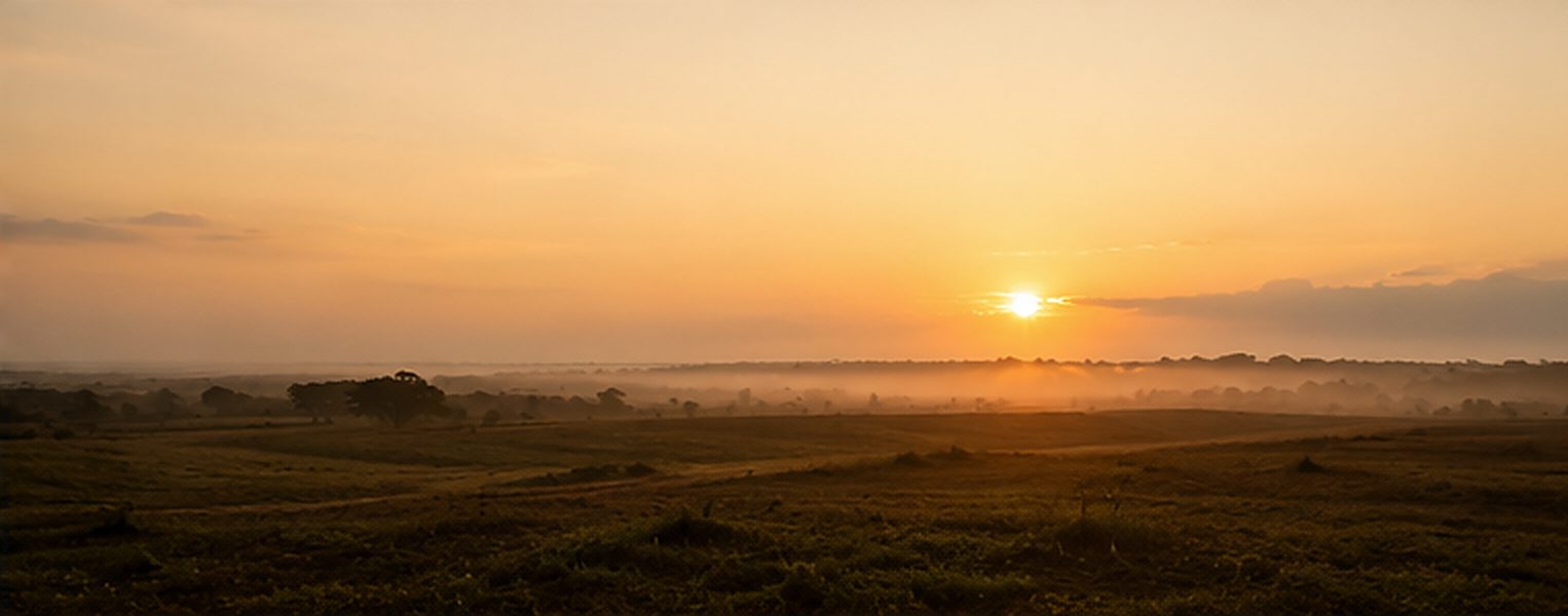Horizonte de terra aberta ao amanhecer, com relevo suave e névoa baixa